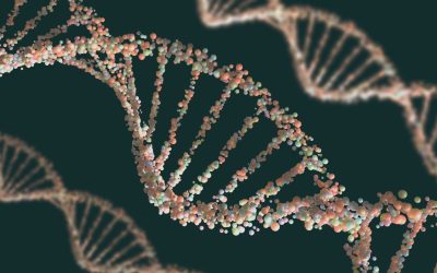 L’ADN : Le Code Secret des Croyances et Superstitions