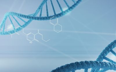 ADN Mystique : Quand la Science Rencontre l’Inexpliqué
