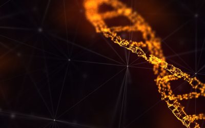 Le Fantôme d’ADN : Comment l’ADN Ancien Recompose notre Passé