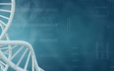 ADN : Et si nos souvenirs étaient codés à la manière d’un programme informatique ?