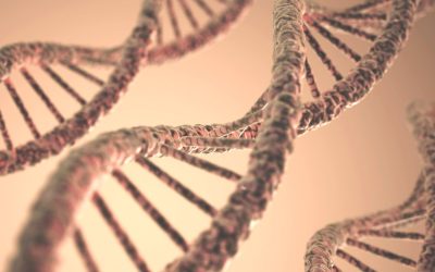 De l’évolution à la thérapie génique : quel est le potentiel futur de l’ADN?