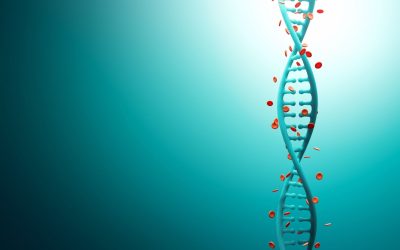 Les secrets enfouis dans notre ADN : entre mythe et réalité
