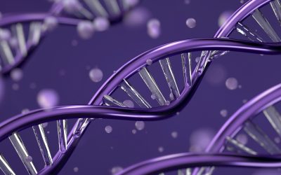 ADN : Les Secrets Cachés de Nos Ancêtres
