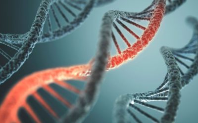 ADN : La Clé Secrète Pour Se Connecter Aux Animaux ?