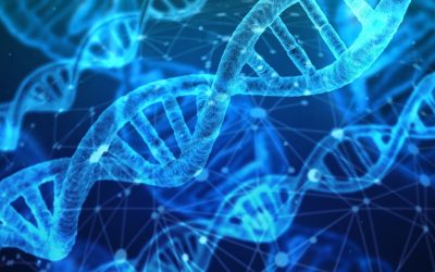 L’ADN peut-il prédire votre avenir mieux qu’un astrologue ?