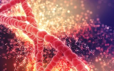 ADN : Le Code Secret Pour Ressusciter Les Espèces Disparues?
