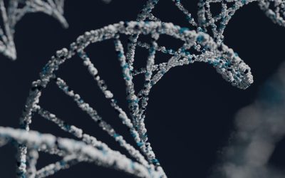 L’ADN : Les Secrets de Notre Identité Cachée