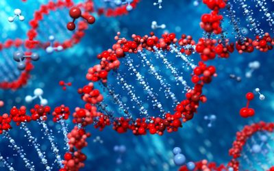 L’ADN, le passeport de l’immortalité : Science ou fiction ?