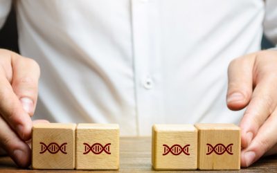 ADN, l’horloge biologique cachée : Comment vos gènes prédisent-ils votre longévité ?