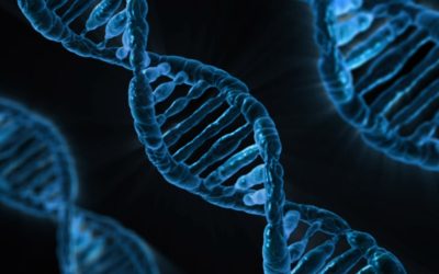 ADN: Le Code Secret de Votre Personnalité?