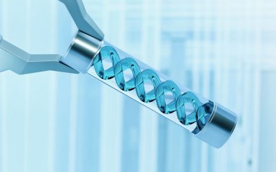 ADN : Le Code Secret qui Dirige la Vie