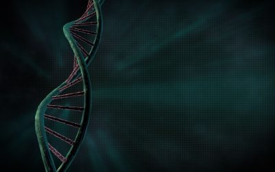 ADN : La clé secrète pour voler comme les oiseaux ?