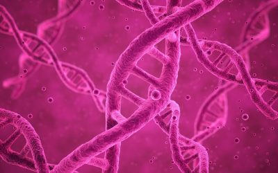 ADN : L’empreinte génétique au cœur de la cuisine du futur