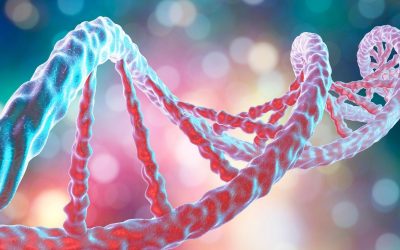 L’ADN : Et si notre mémoire s’y cachait ?