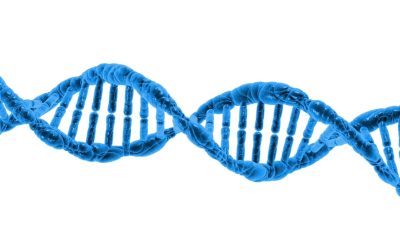 L’ADN nous programme-t-il à l’échec ? La vérité derrière le pouvoir de l’acide désoxyribonucléique