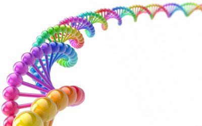 ADN : L’Enquête Qui Va Bouleverser Votre Conception de la Vie
