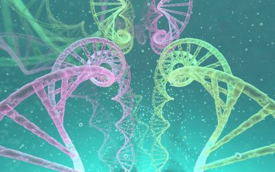 ADN et musique : Quand vos gènes composent une symphonie
