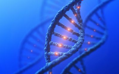ADN : Quand la Science Rencontre l’Art Visuel