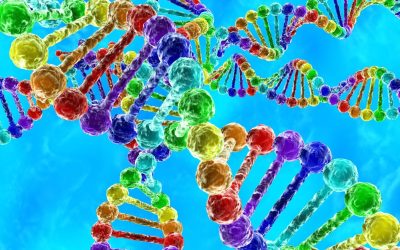 ADN et Préhistoire : Le Secret de Nos Ancêtres Révélé !