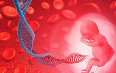 ADN : Le Code Secret pour Hacker la Nature