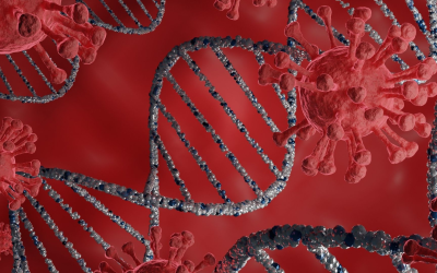 Environmental dna turns water samples into 1,500-species wildlife census
