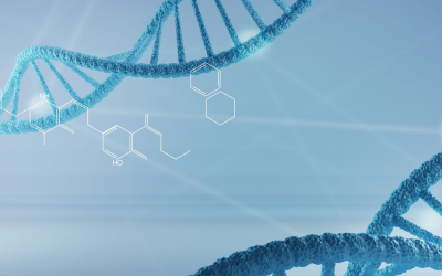 Environmental DNA reshapes conservation at lightning speed and staggering scale