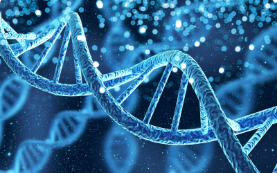 Environmental DNA revolution unmasks global biodiversity in real time