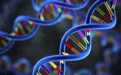 Environmental eDNA rewrites our planet’s biography with 200,000 clues