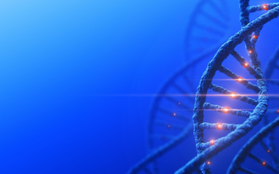 Environmental DNA outperforms traps, revealing 25% more species