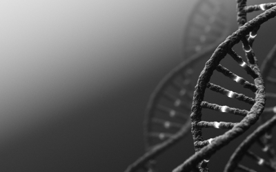 Environmental DNA maps unseen life, transforming global conservation efforts