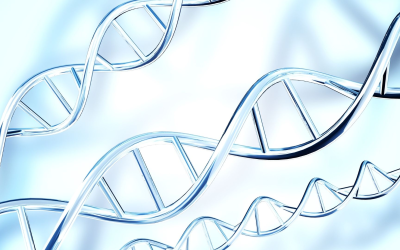 Environmental DNA is rewriting our planet’s field guide