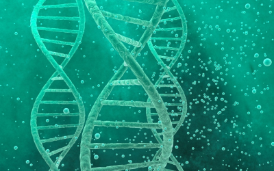 Environmental DNA rewrites species counts, unveiling life we overlooked