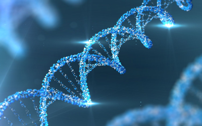 Environmental dna is rewriting biodiversity surveys, fueling faster, smarter conservation